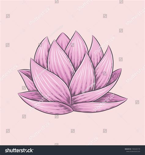 halamang namumulaklak drawing easy|Nymphaeaceae .